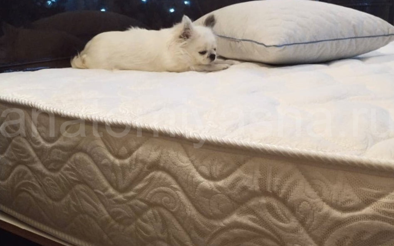 отзыв о Матрас Lonax Ассорти Memory Cocos S1000 фото 4